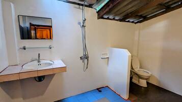 A bathroom with a sink, mirror, shower, and toilet.