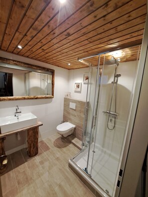 Shower, towels, toilet paper