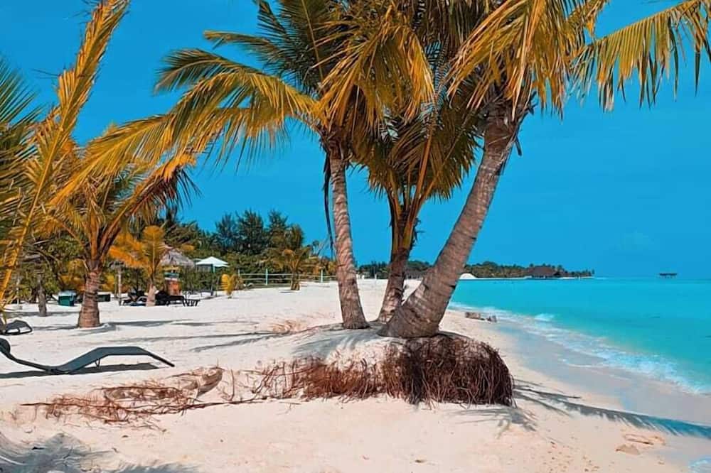 White Sand Inn