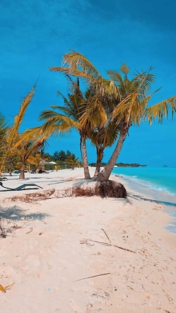 Beach. White Sand Inn