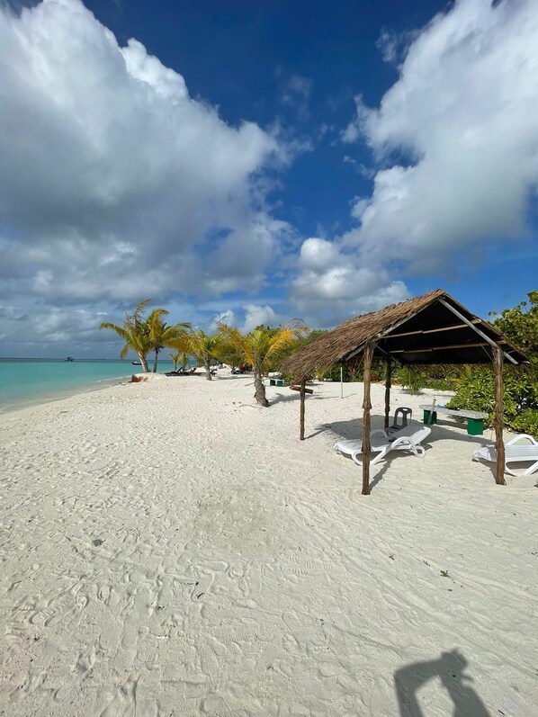 Beach - White Sand Inn (Maamigili)