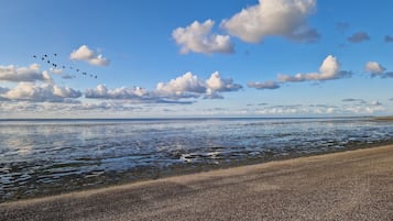 Una playa cerca