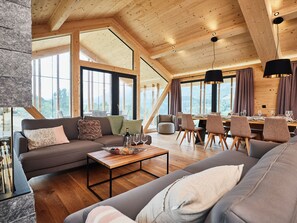 Fernseher, Kamin