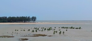 A coastal landscape with a sandy beach, a line of trees, and small green plants in the water. - Ocean View Beach Inn (Kanthi)