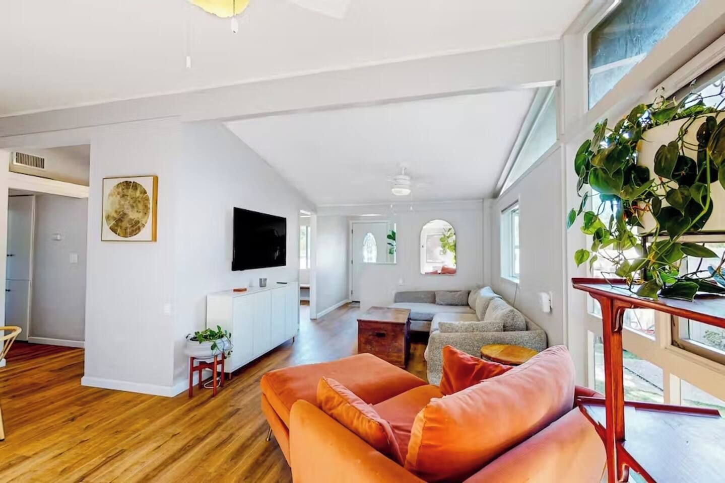 A spacious living area with a sofa, a television, and a plant.