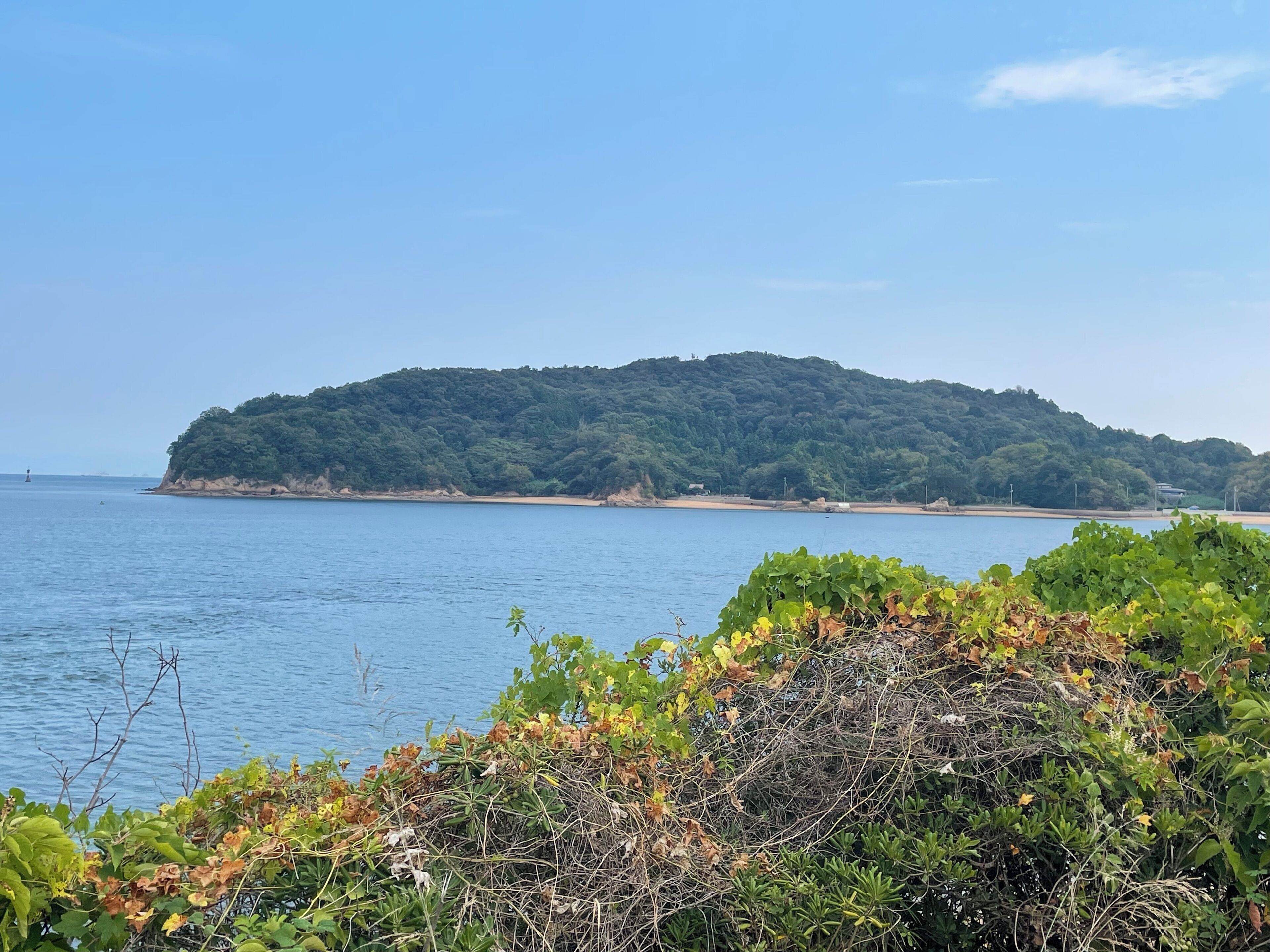 A coastal landscape with a forested island and a clear sky.