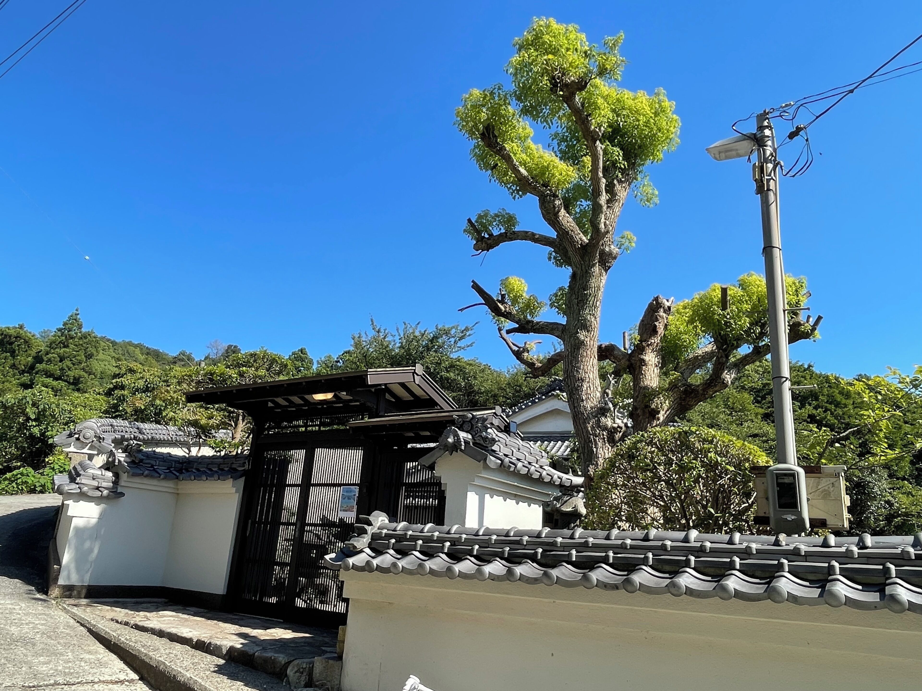 A traditional Japanese building with a tiled roof, a stone pathway leading to a gate, and a large tree in the background.