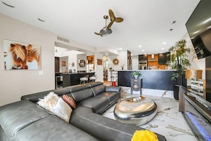 Smart-TV, Kamin