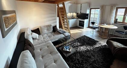 wonderful apartment with connection to public transportation to Munich