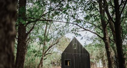 Cedar Brook at Live Oak Lake - Modern Cabin