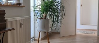 Gemütliche, neu renovierte Ferienwohnung mitten im Weindorf Duttweiler