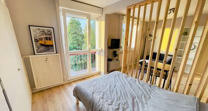 Studio 43aJJ au centre ville de Lure