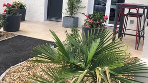 Entrada de un edificio con puerta negra, plantas en macetas y un patio con una palmera.