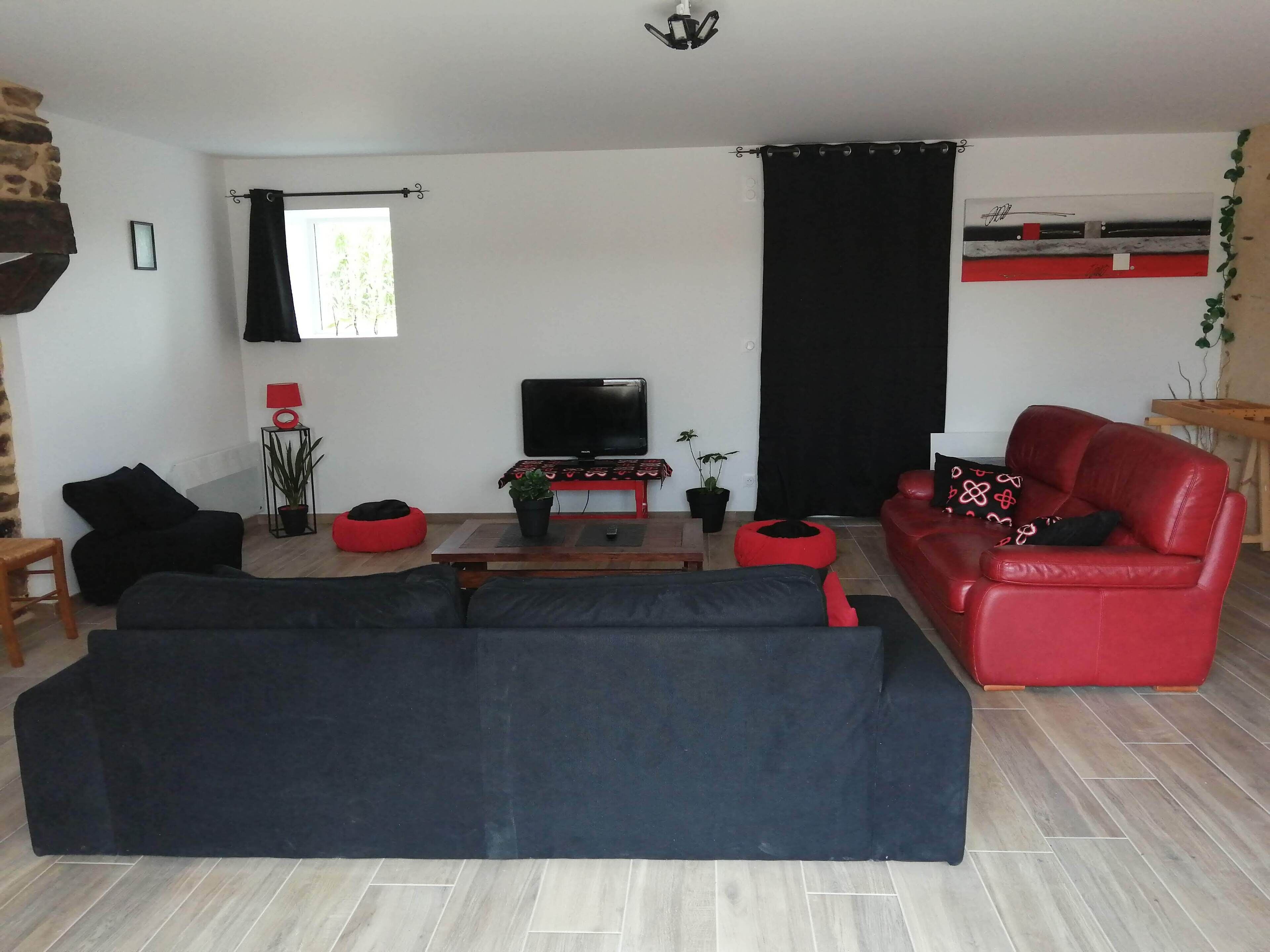 Un salon avec un grand canapé noir, un divan en cuir rouge, un téléviseur à écran plat et une plante en pot.
