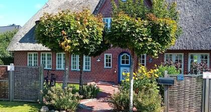 Ferienwohnung Hafis 5