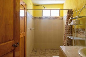 Hair dryer, towels, soap, toilet paper - Spacious Family Apartment with Mountain Views in Panajachel (Panajachel)