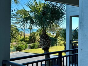 Property grounds - Beach Daze-Gorgeous new shower! Bikes Included (Hilton Head Island)
