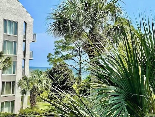 Property grounds - Beach Daze-Gorgeous new shower! Bikes Included (Hilton Head Island)