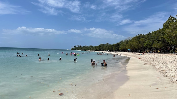 A beach with clear turquoise water, people swimming and sunbathing, and a line of trees along the shore.