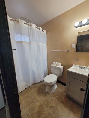 Bathroom - Cozy one bedroom close to downtown IA and IL with no cleaning fee! (Rock Island)
