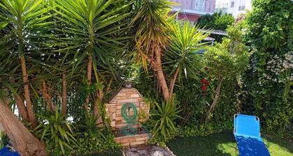 The Sunny House