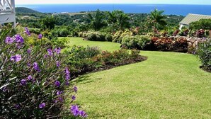 A well-maintained garden with a curved lawn, various flowering plants, and a view of the ocean. - Charming Nevis Cottage with pool and ocean view on grounds of Hermitage Inn (Gingerland)