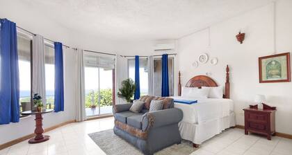 876 Oasis ocean view villa with pool and unheated spa