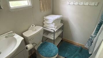 Assecador de cabells, tovalloles, sabó i xampú