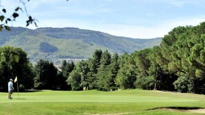 Un campo de golf con una bandera, árboles y una montaña al fondo.