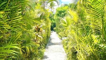 Áreas de la propiedad