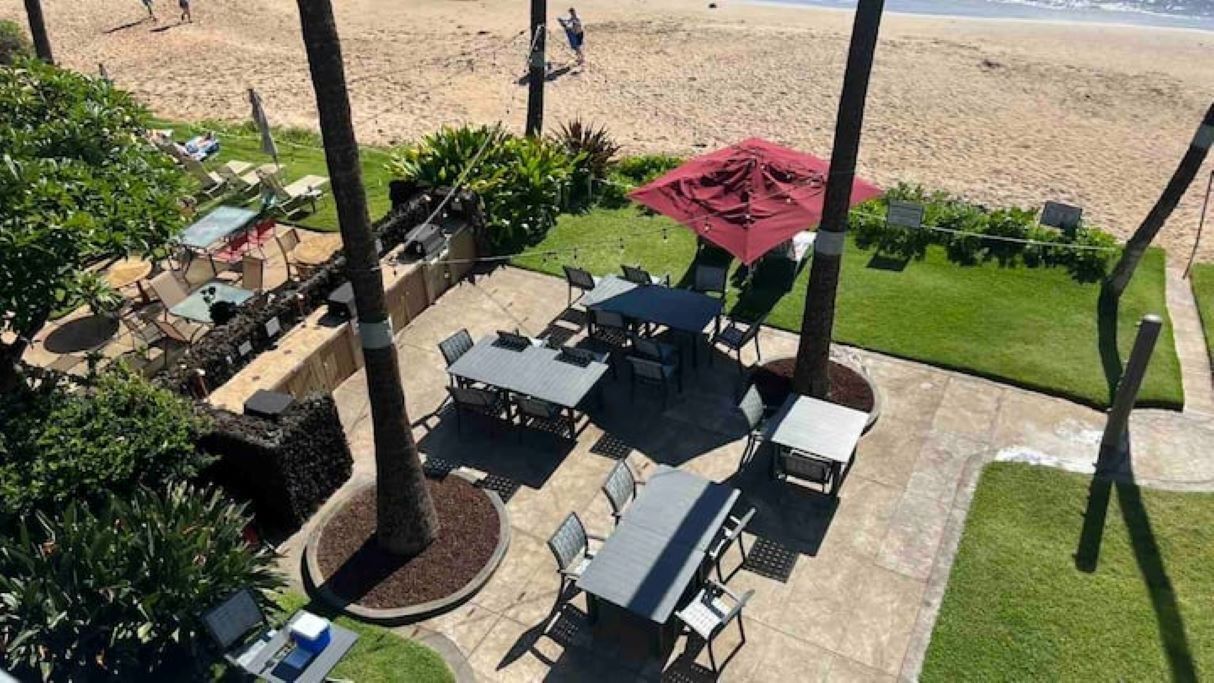 Een terras buiten met tafels en stoelen, omgeven door palmbomen en uitzicht op het strand.