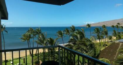 Top Floor Beachfront Condo with Ocean view