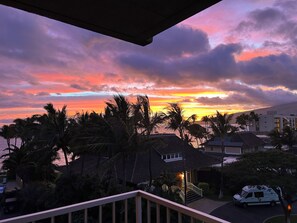 Property grounds - Top Floor Beachfront Condo with Ocean view (Kihei)
