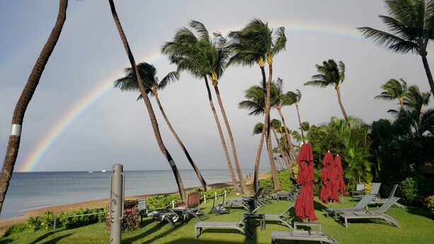 A beachside resort with palm trees, lounge chairs, and umbrellas. - Top Floor Beachfront Condo with Ocean view (Kihei)