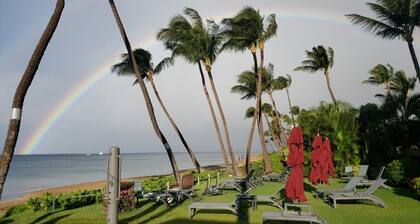 Top Floor Beachfront Condo with Ocean view