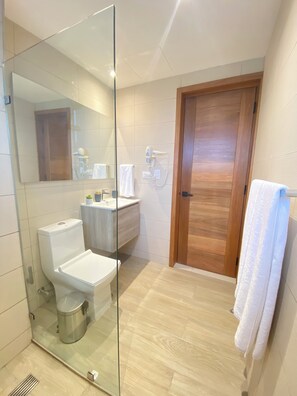 Secador de cabelo, toalhas de banho, papel higiênico 