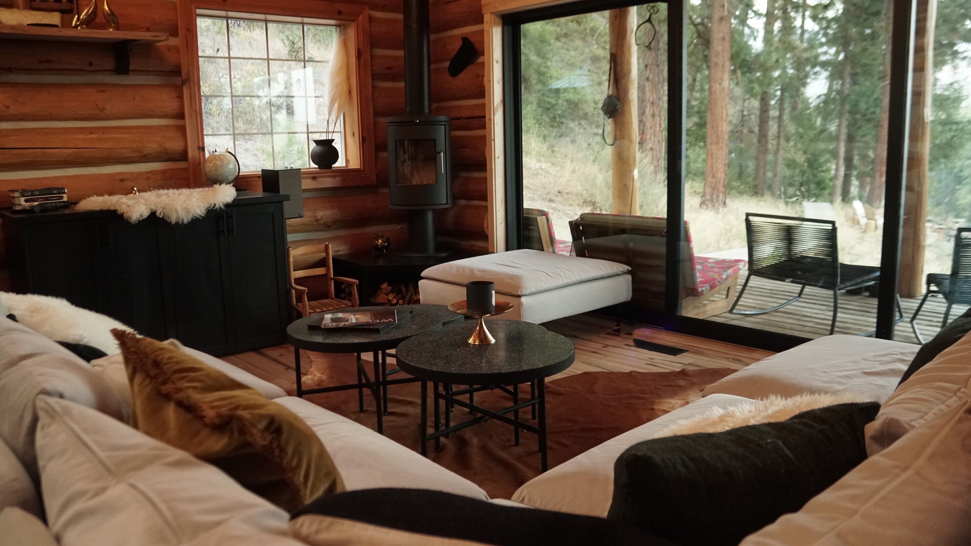 TV connectée, cheminée, livres