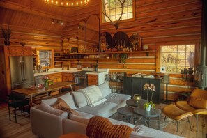 Smart TV, fireplace, books