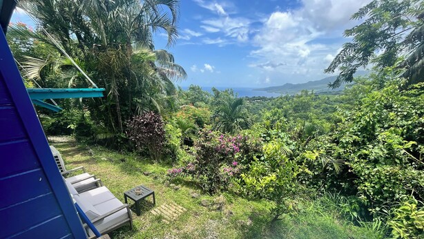 A backyard with a wooden deck, a small pool, and lush greenery. - Bungalow Avec vue Dans Lieu Calme (Le Carbet)