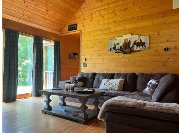 Smart TV, fireplace, DVD player, books