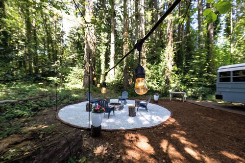 Quiet Skoolie in the Woods