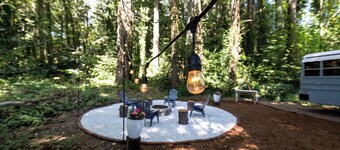 Quiet Skoolie in the Woods