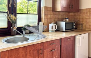 Fridge, stovetop, dishwasher