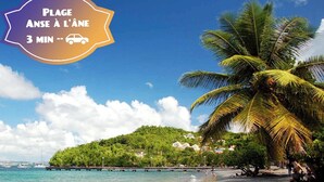 A beach scene with a clear sky, palm trees, and a distant shoreline with buildings. - Vue mer Imprenable ! F2 2/4 Pers, Jacuzzi Privatif et Piscine Privée (Les Trois-Îlets)