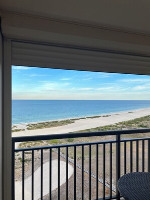 Interior - Stunning 16th floor condominium. Full beach view for Gulf of America sunsets (Clearwater)
