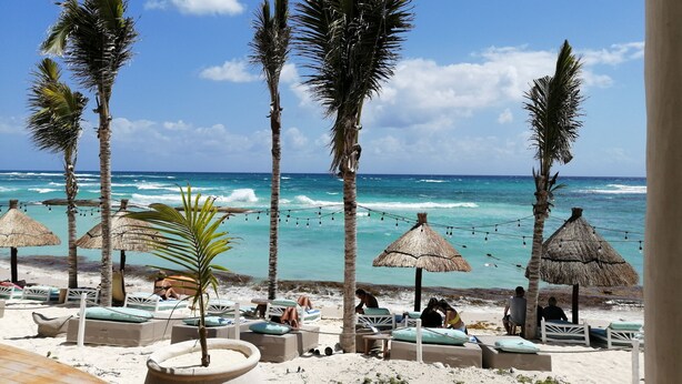 A beach view with thatched umbrellas, lounge chairs, and palm trees. - Tranquility Base - Golf and Beach Resort (Akumal)