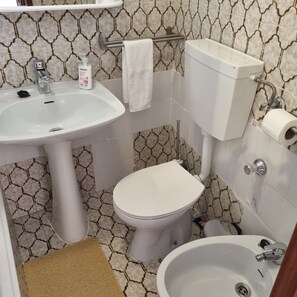 Hair dryer, bidet, towels, soap