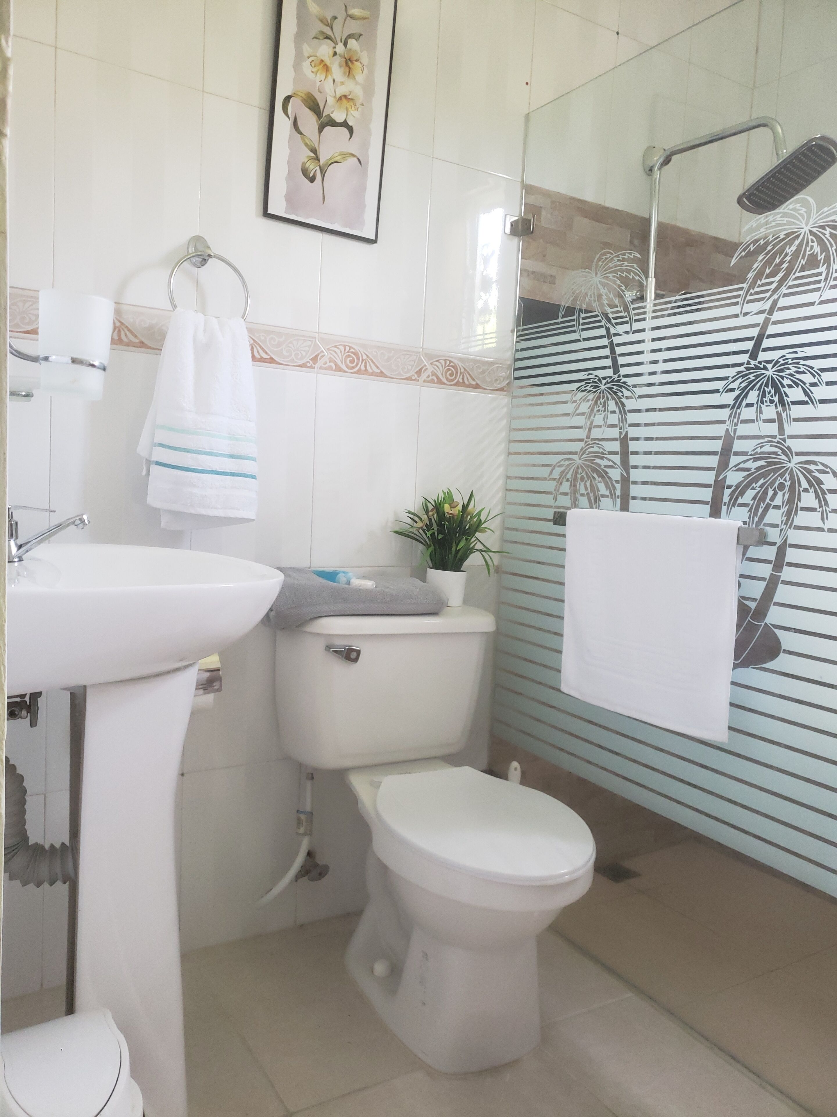 Hair dryer, towels, soap, shampoo