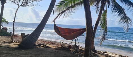 A beach with palm trees and a hammock.