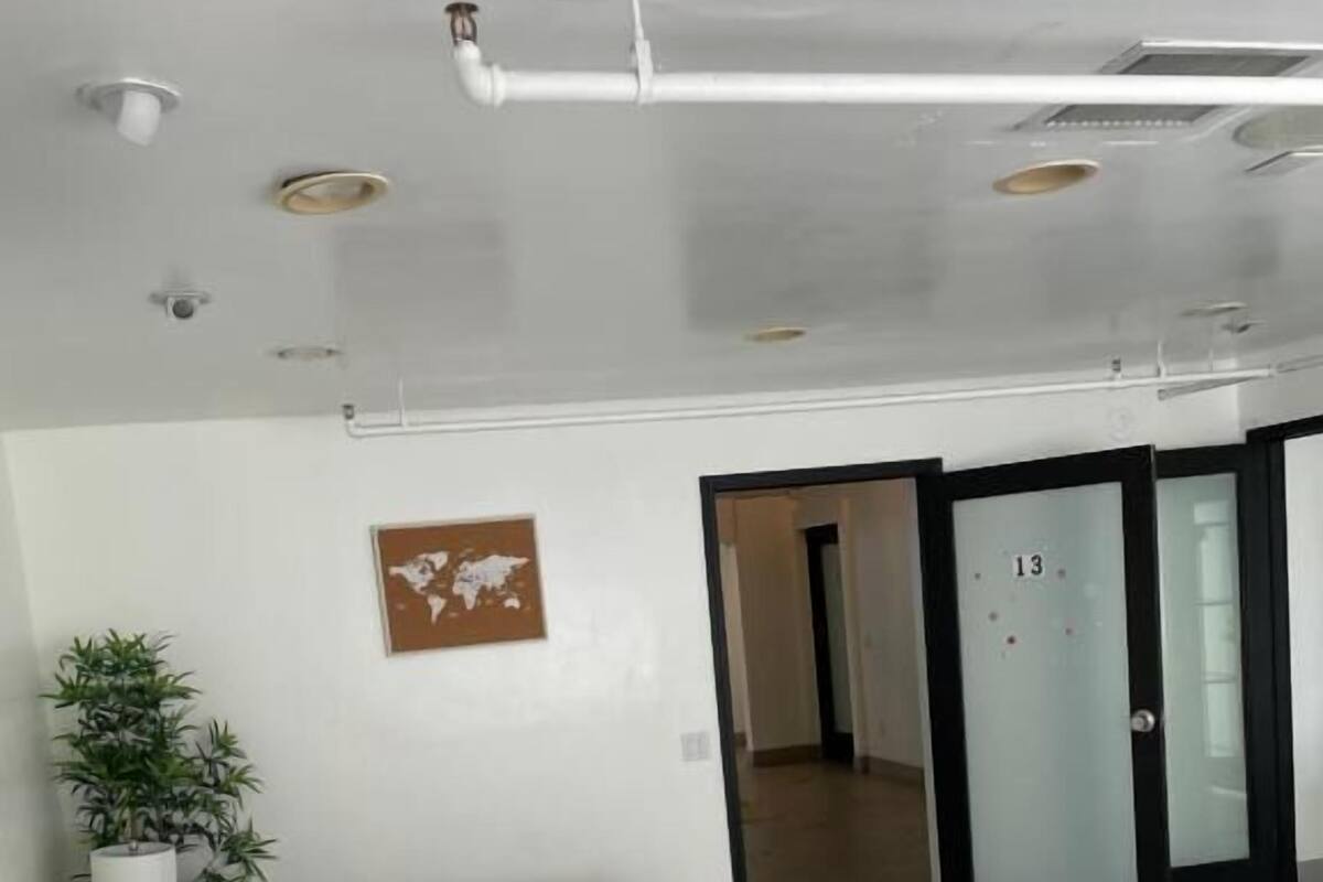Ein modernes Hotelzimmer mit einem Bett, einer Topfpflanze und einer Weltkarte an der Wand.